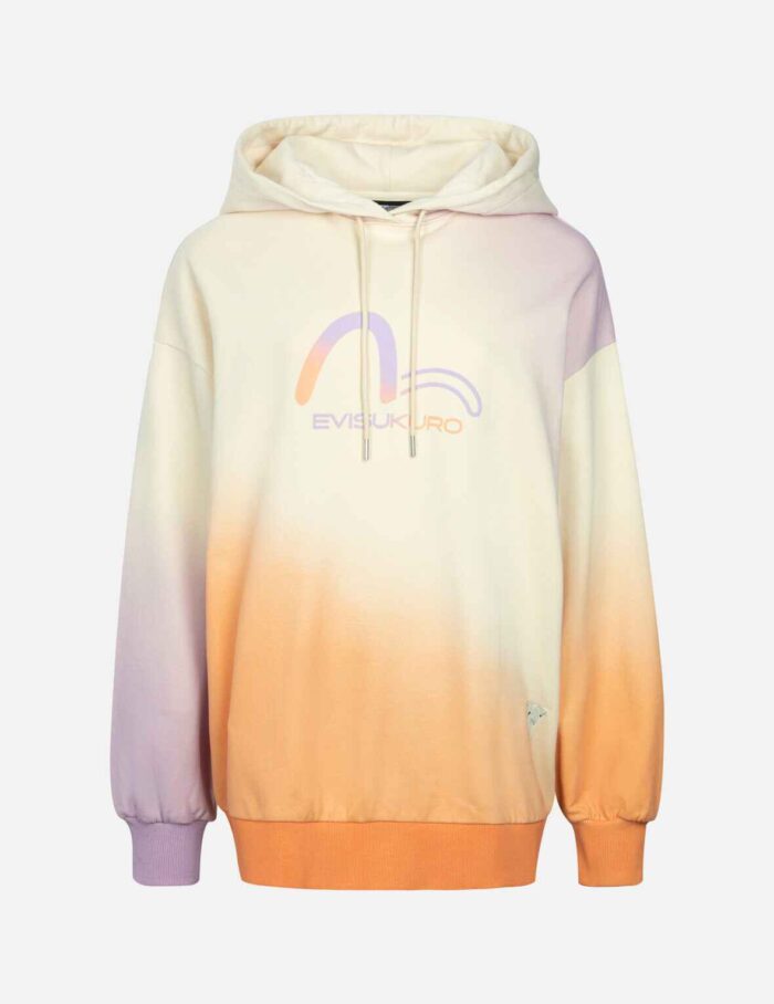 Gradient Flocking Printed Seagull Oversized Hoodie (1)